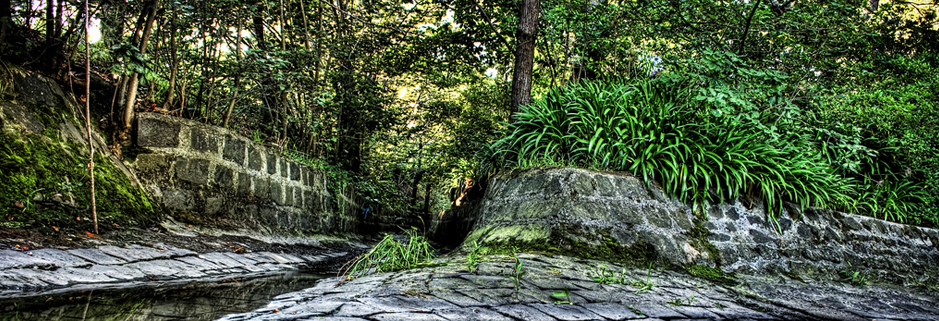 手机号轰在线轰炸免费下载